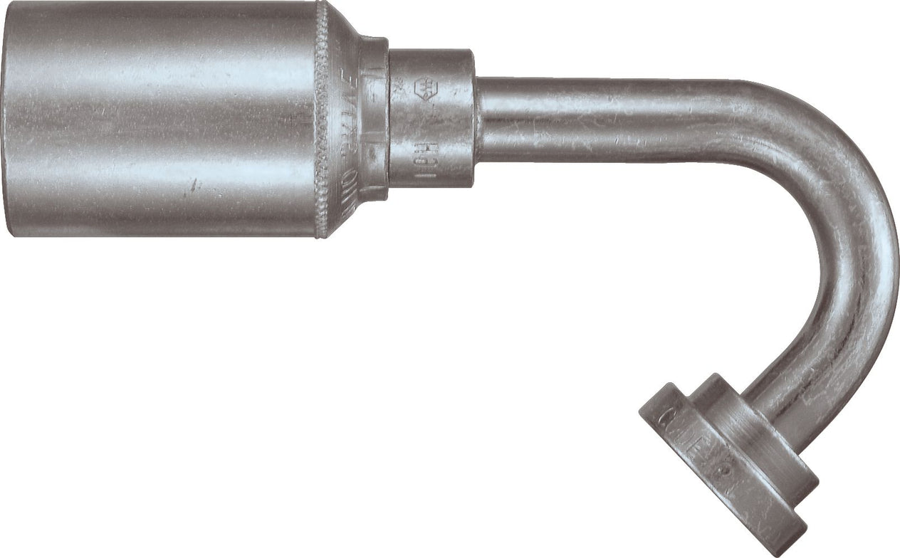 DV_ZoomOriginal_P_6159.jpg