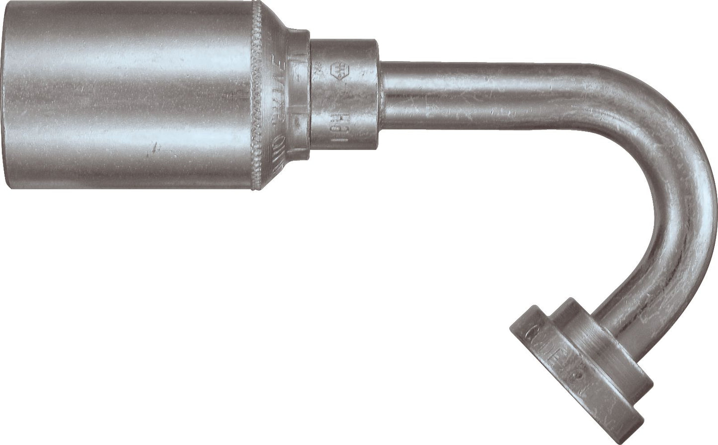DV_ZoomOriginal_P_6159.jpg