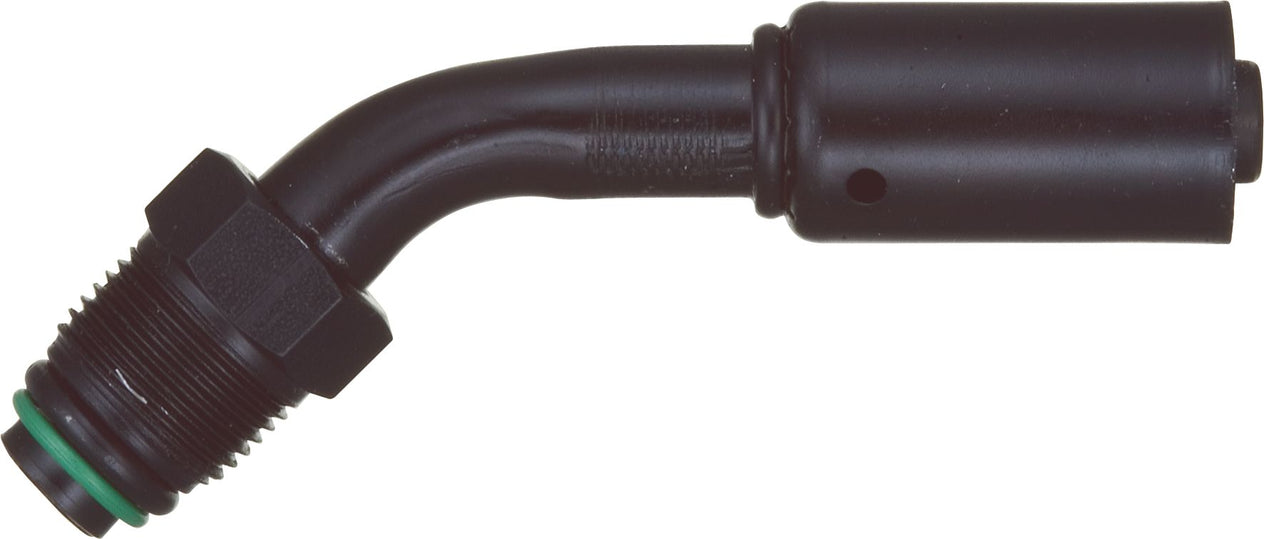 DV_ZoomOriginal_P_6237.jpg
