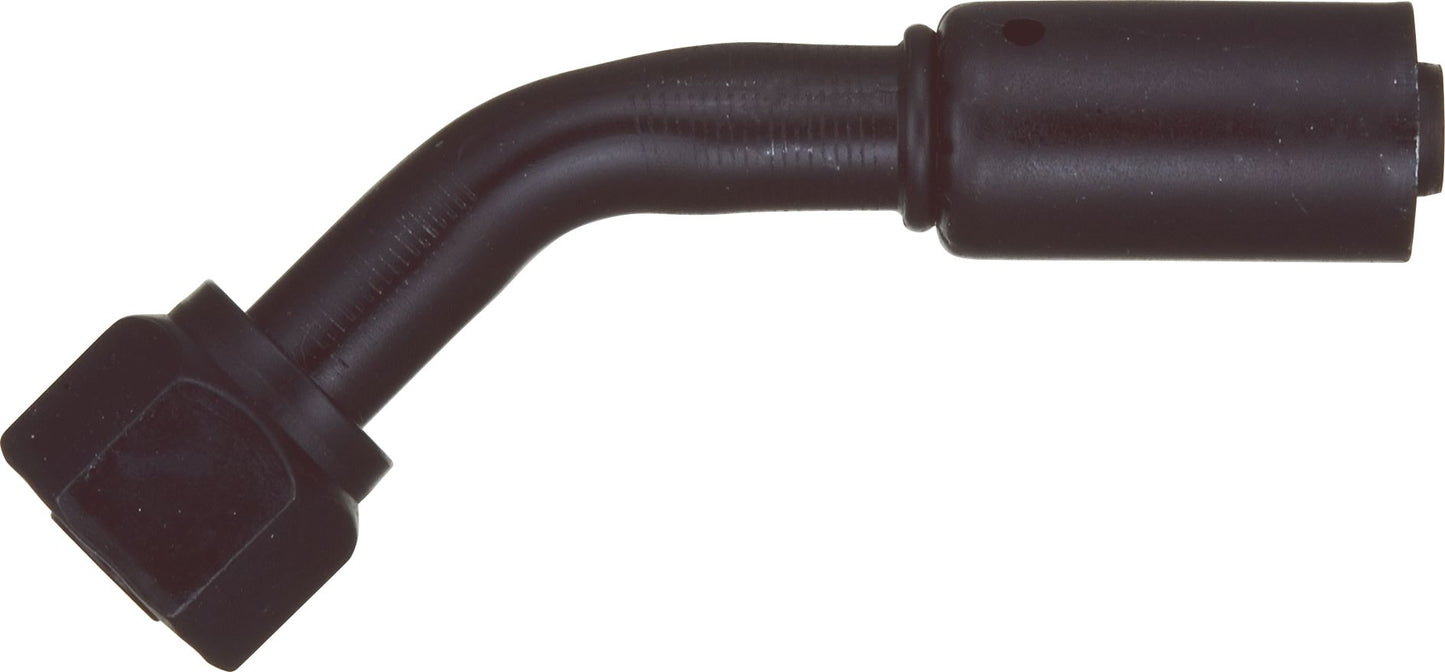 DV_ZoomOriginal_P_6238.jpg