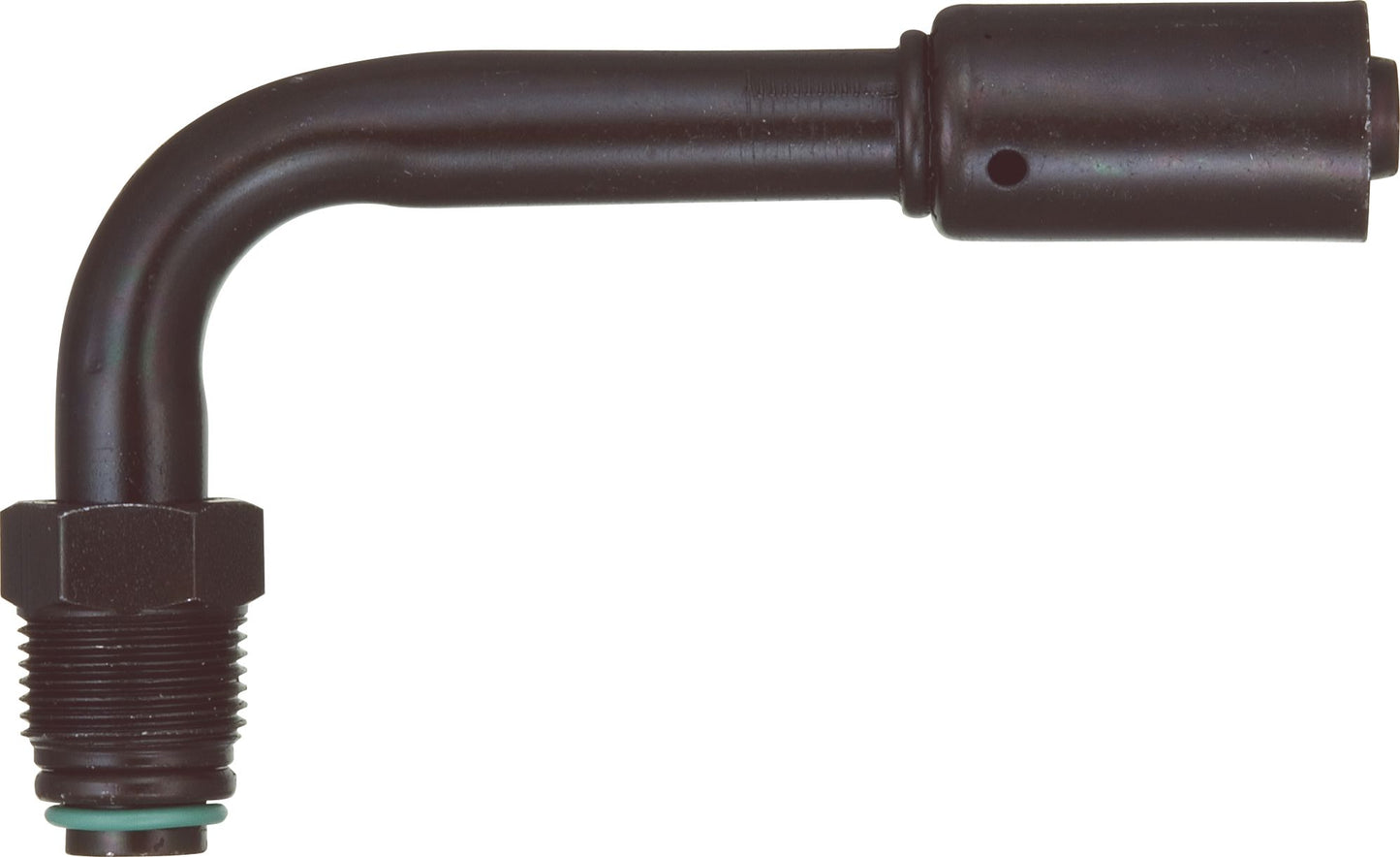 DV_ZoomOriginal_P_6244.jpg