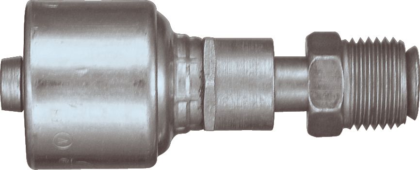 DV_ZoomOriginal_P_6292.jpg
