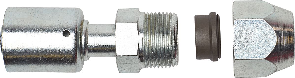 DV_ZoomOriginal_P_6350.jpg