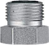 DV_ZoomOriginal_P_6408.jpg