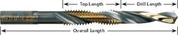 DV_ZoomOriginal_P_8134_LD1.jpg