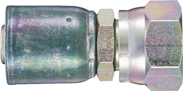 DV_ZoomOriginal_P_9319.jpg