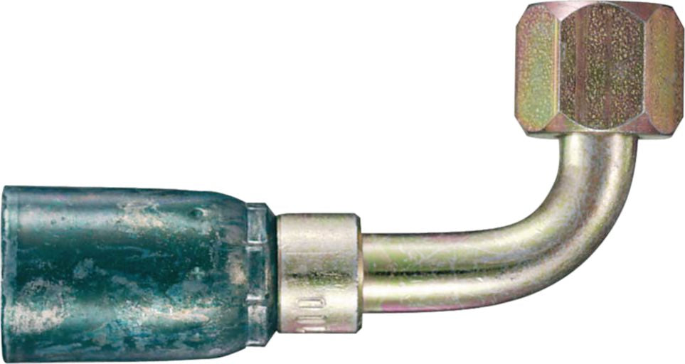 DV_ZoomOriginal_P_9321.jpg