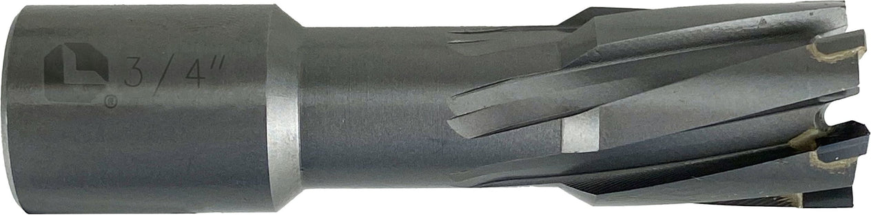 DV_ZoomOriginal_P_CTPMP1091.jpg