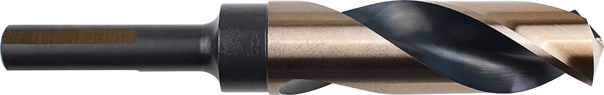 DV_ZoomOriginal_P_CTPMP1113.jpg