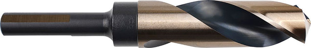 DV_ZoomOriginal_P_CTPMP1113.jpg