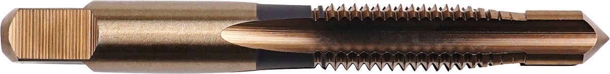 DV_ZoomOriginal_P_CTPMP1170.jpg