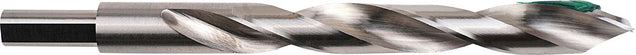 DV_ZoomOriginal_P_CTPMP1184.jpg