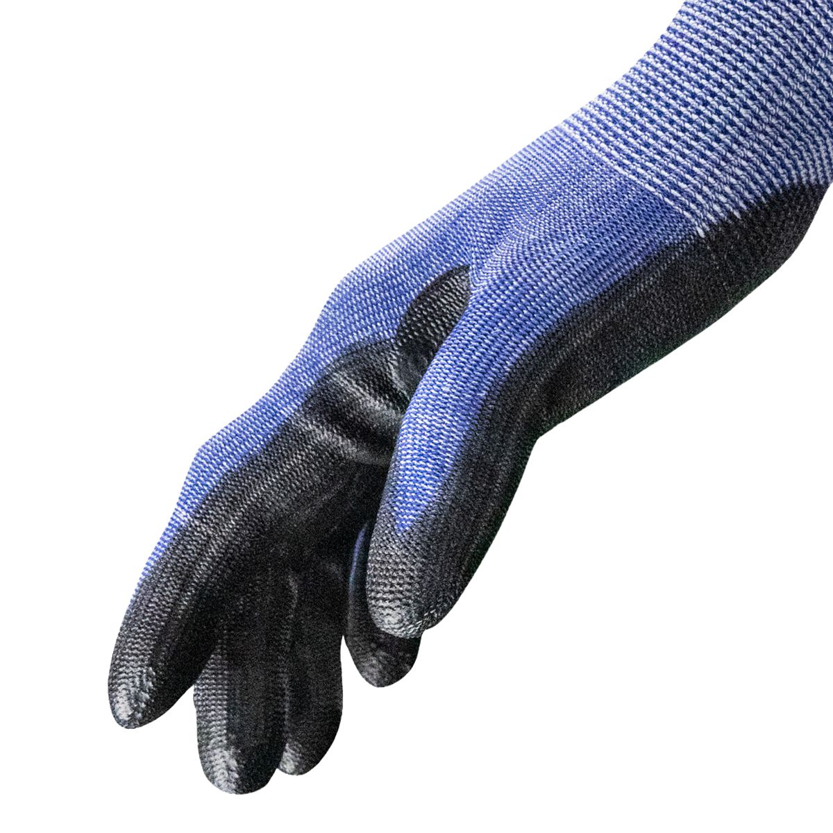 DV_ZoomOriginal_P_HEX9_SD1.jpg