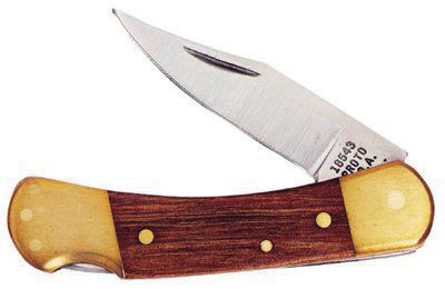 DV_ZoomOriginal_P_HT1185.jpg