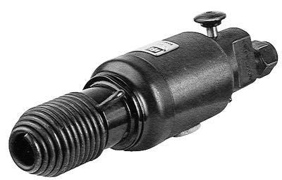 DV_ZoomOriginal_P_HT3646.jpg