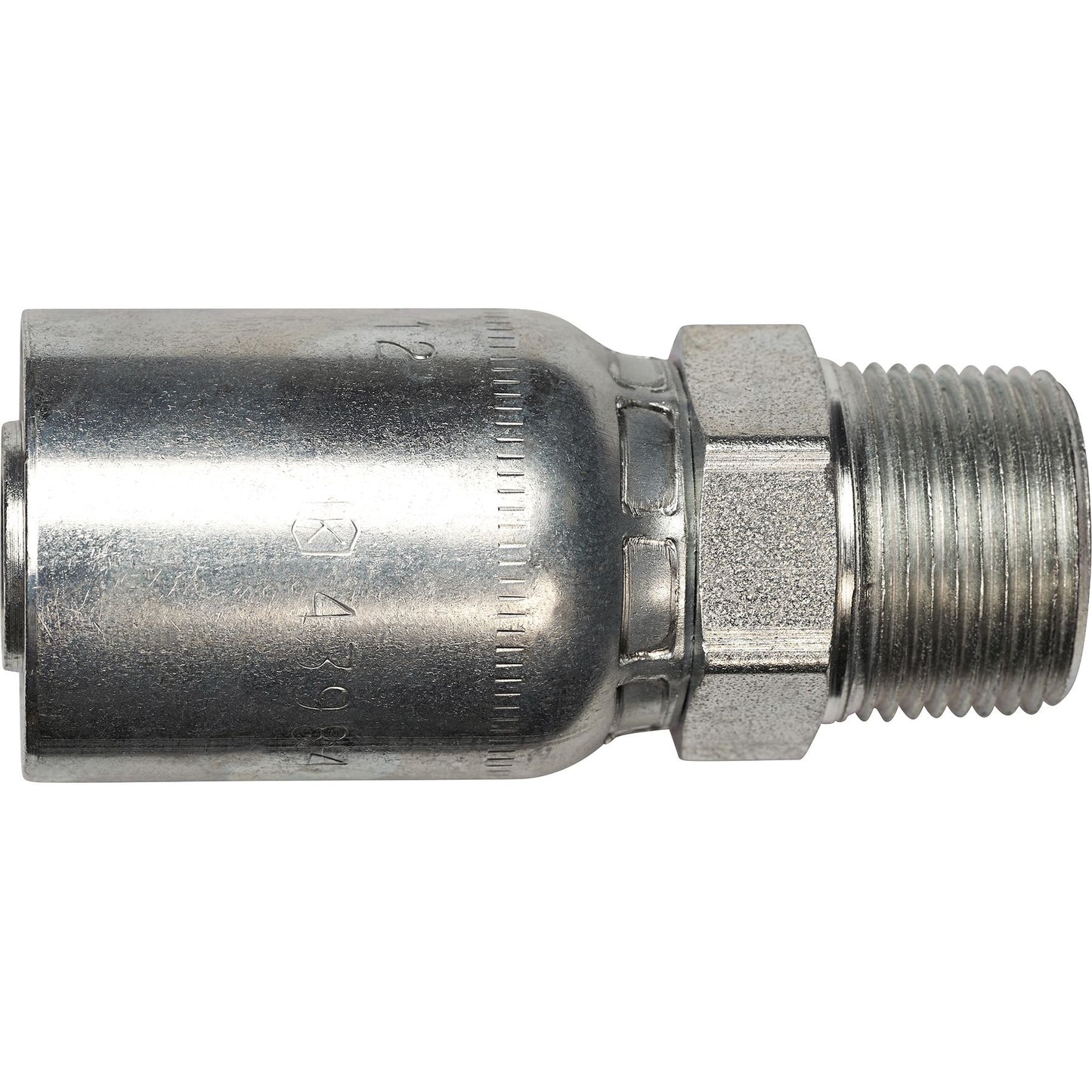 DV_ZoomOriginal_P_KH6165.jpg