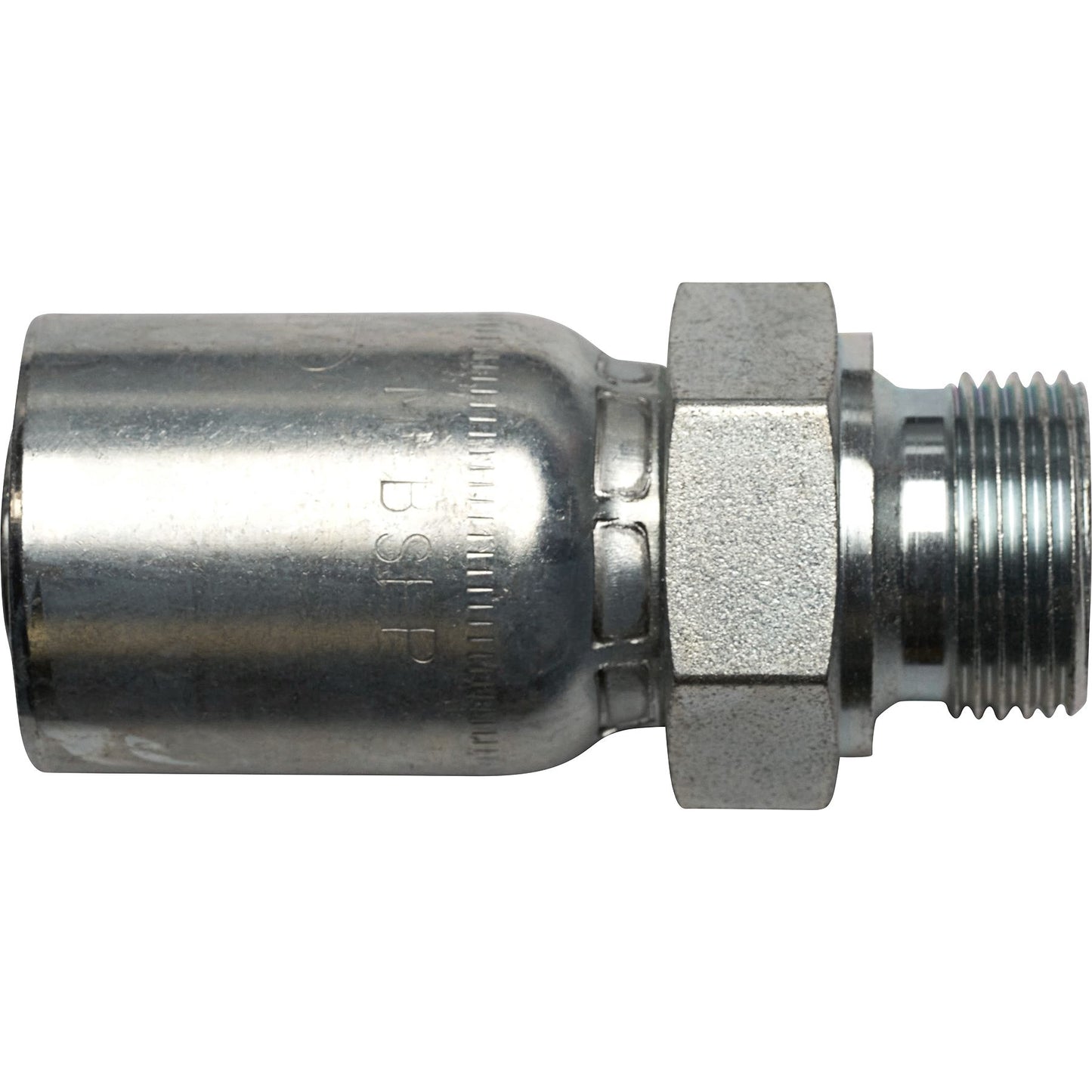 DV_ZoomOriginal_P_KH6205.jpg