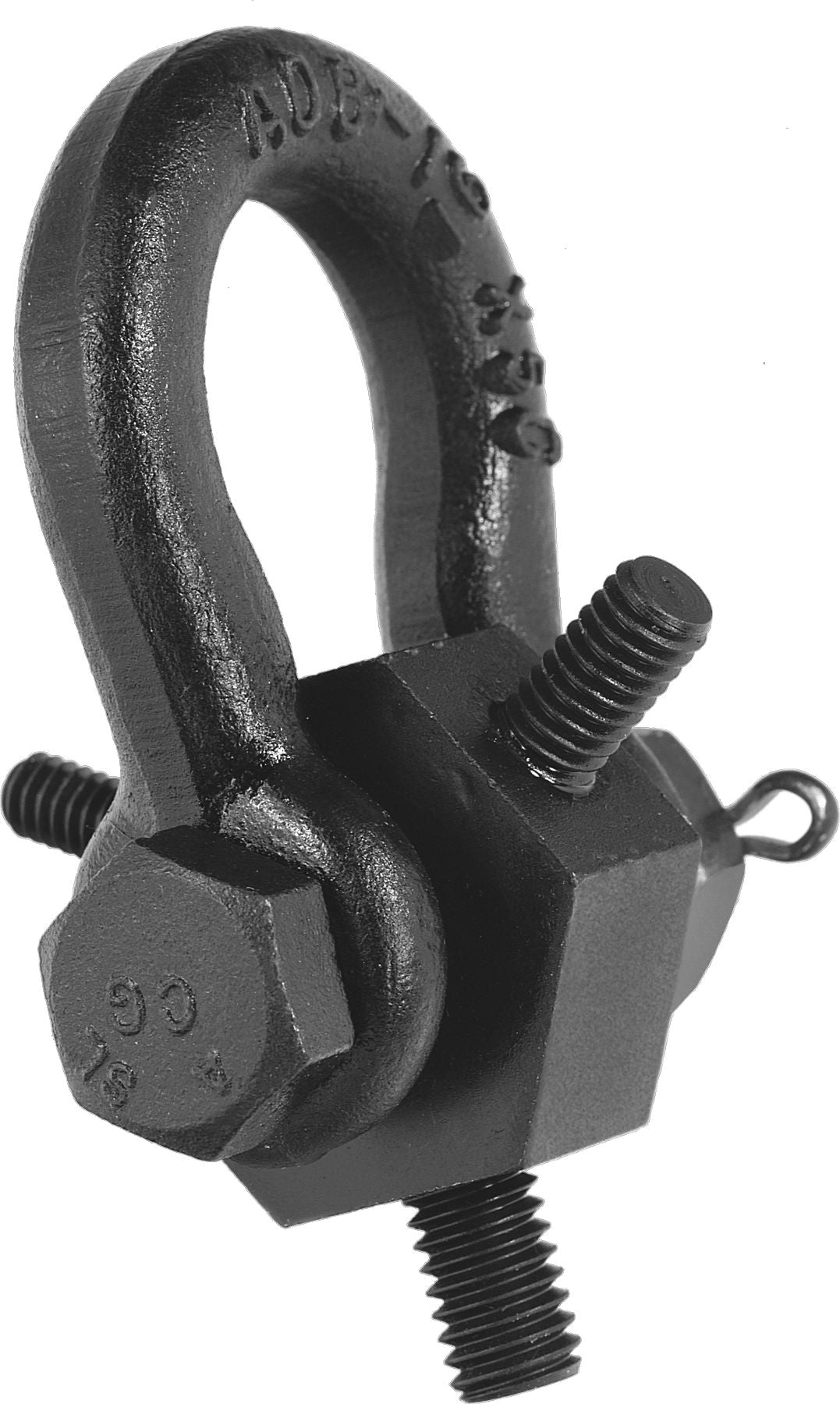 DV_ZoomOriginal_P_MH1812.jpg