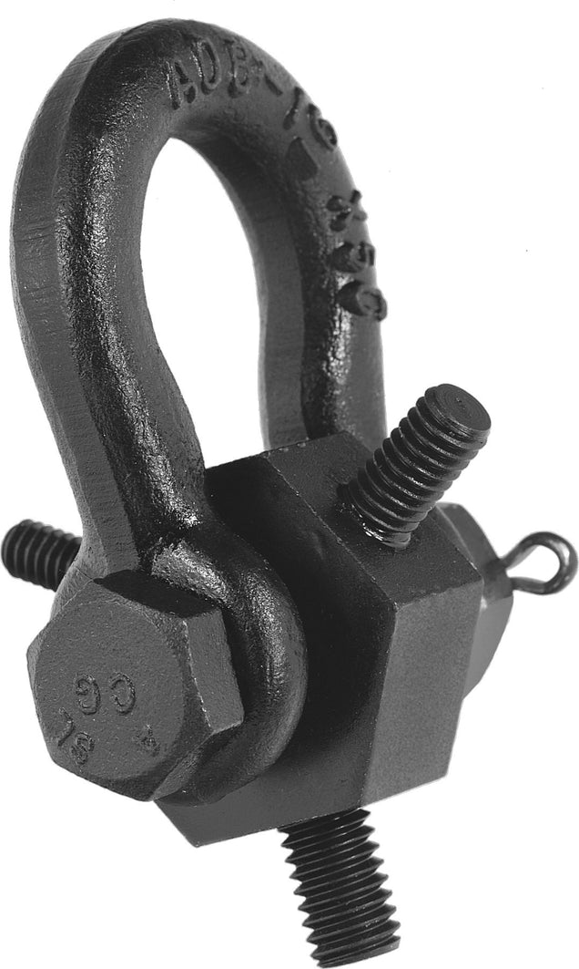 DV_ZoomOriginal_P_MH1812.jpg