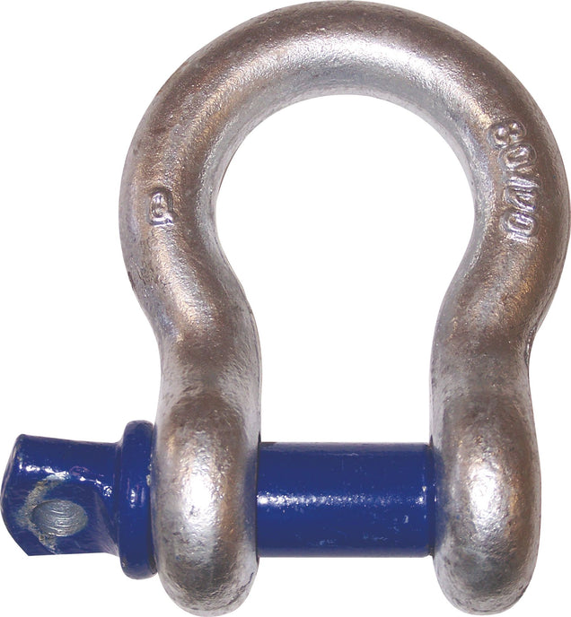 DV_ZoomOriginal_P_MH1899.jpg
