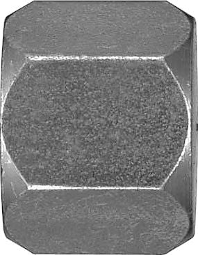 DV_ZoomOriginal_P_P6373.jpg