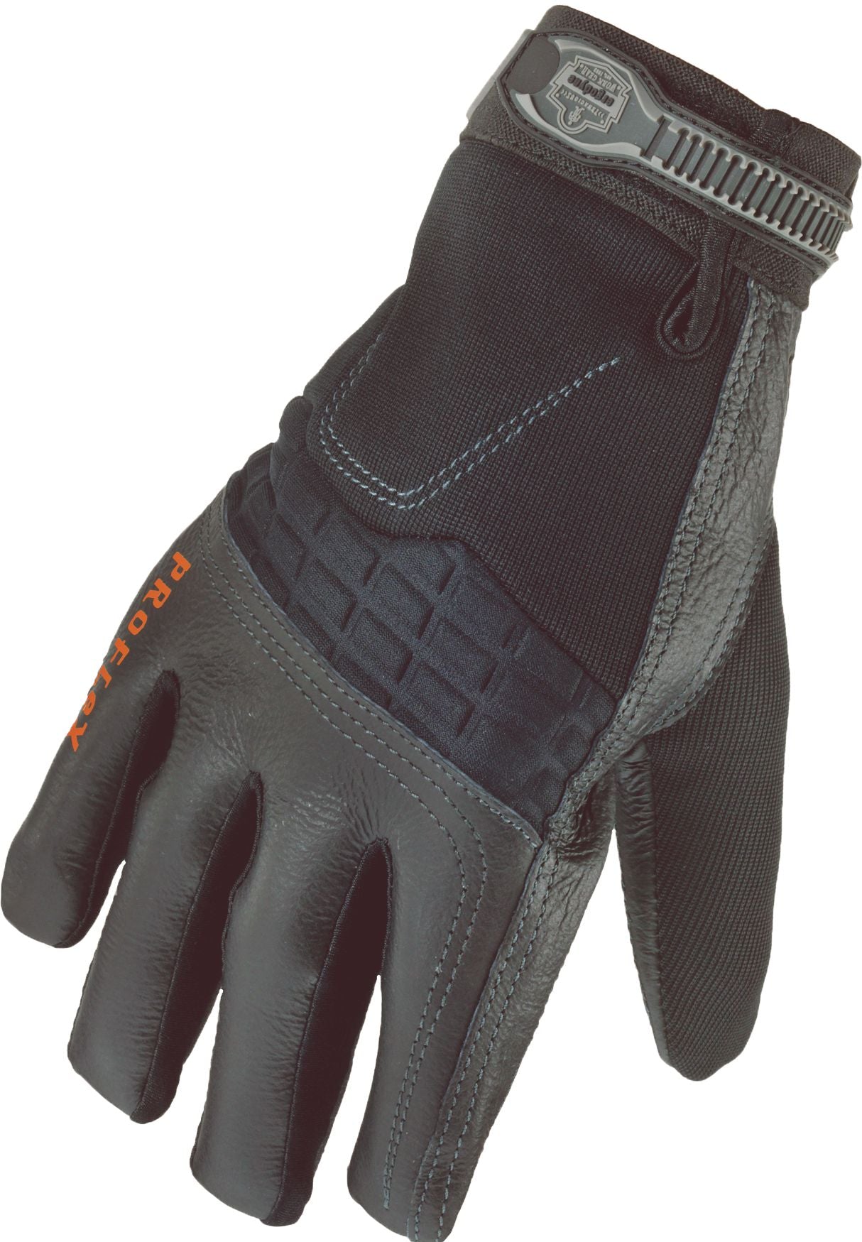 DV_ZoomOriginal_P_SF1224.jpg
