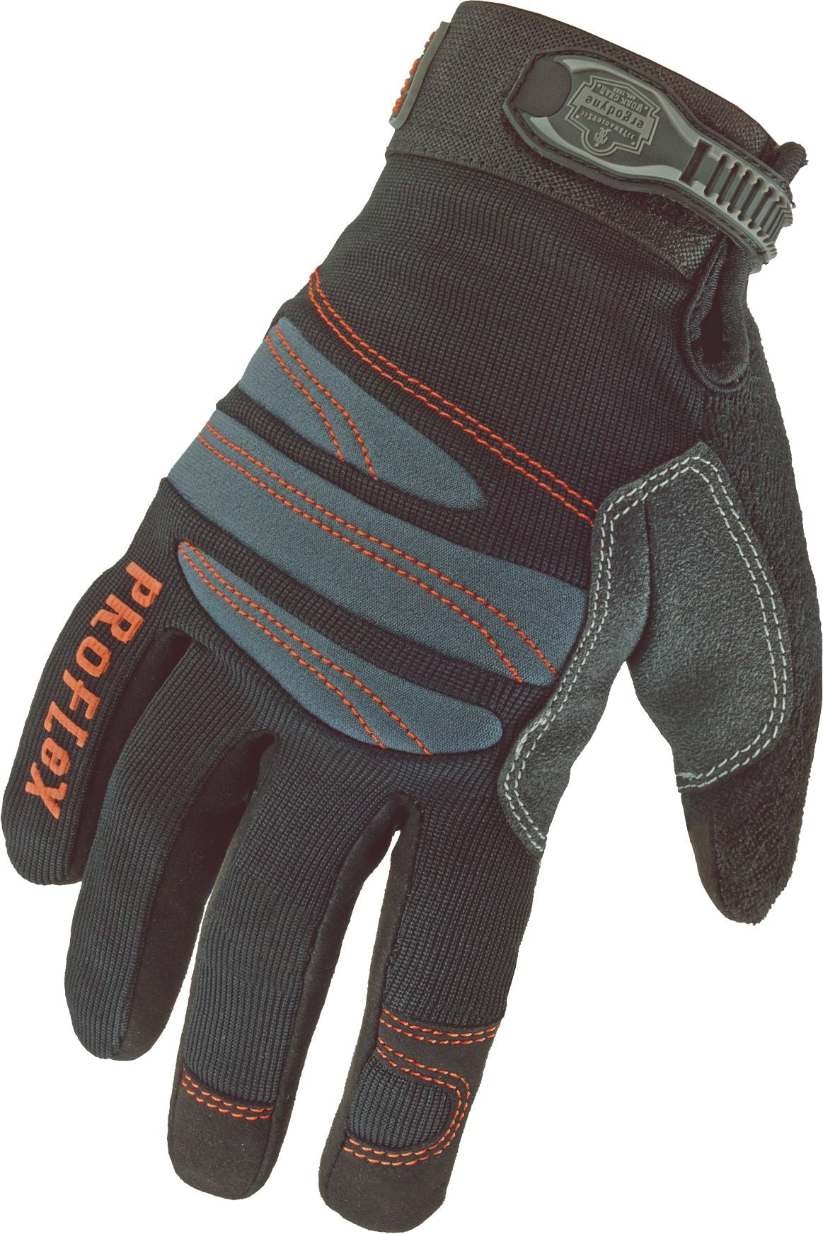 DV_ZoomOriginal_P_SF1258.jpg