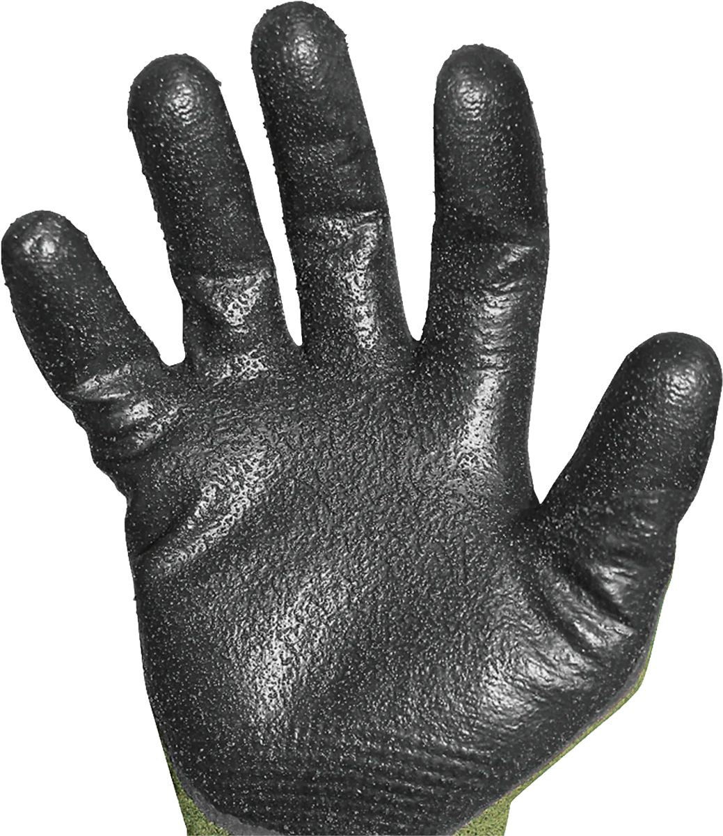 DV_ZoomOriginal_P_SFYGT10_CP2.jpg