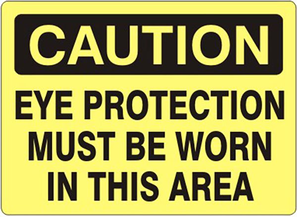 DV_ZoomOriginal_P_Safehouse1094.jpg